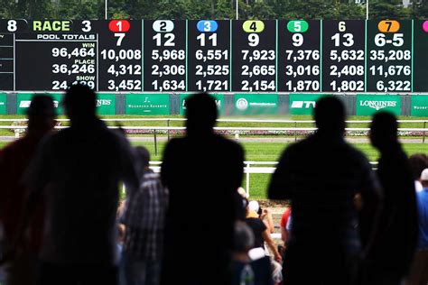 horse racing betting calculator